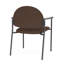 Chaise d'invité Chat Chat-98671299-98882107