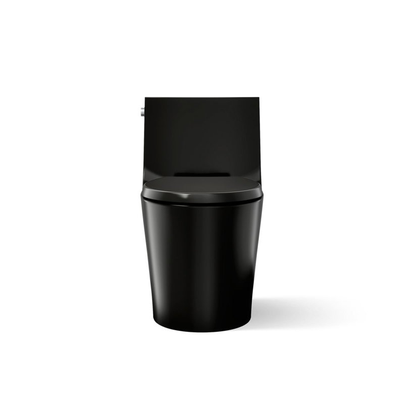 Veil™ One-Piece Elongated Dual-Flush Toilet with Skirted Trapway, Black