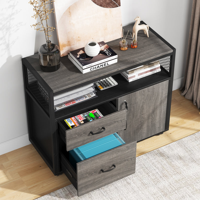 15.74"W X 29.92"H Mobile 2 Drawer File Cabinet With Doors, Gray/Black