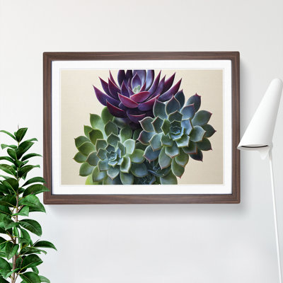 Watercolour Succulent Plant Vol.2 - Framed Print