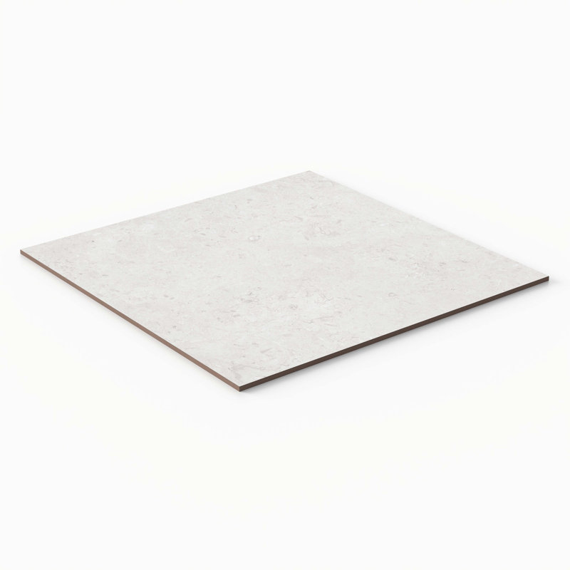 Fossil Stone Matte 24x24 Porcelain Floor & Wall Tile (15.5 Sq. Ft./Case), White