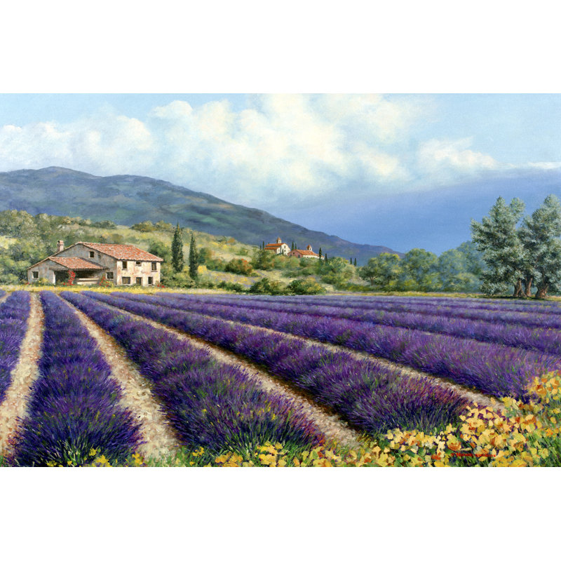 "Fields of Lavender" par Michael Swanson, reproduction d'art sur toile, H 24 po x l 36 po, Toile tendue