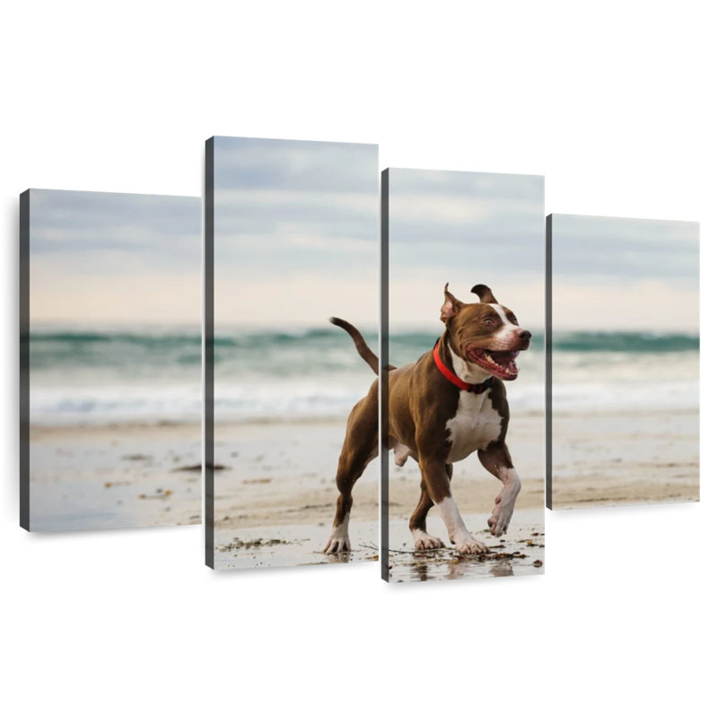 Pit Bull On Beach, 32" H x 52" W