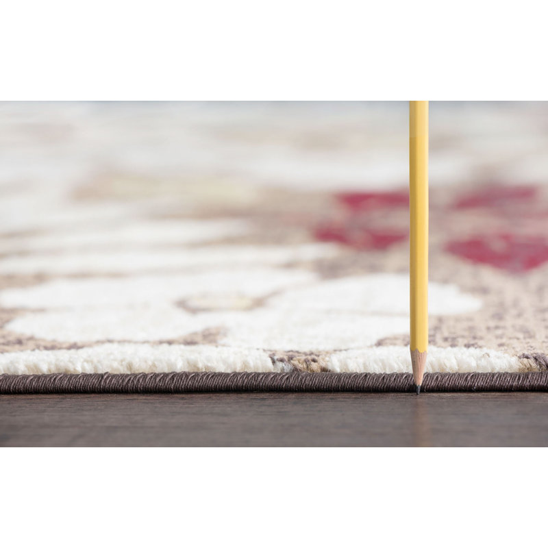 Tapis transitionnel brun Highfill, Rectangle 2 pi x 3 pi