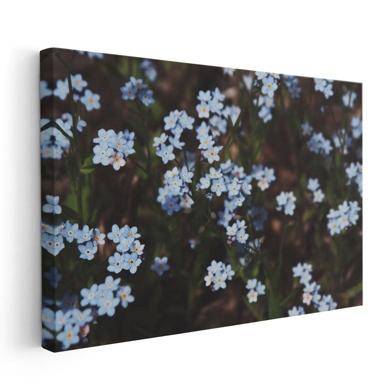 «Forget Me Nots I», reproduction d'art sur toile, H 40 po x l 60 po