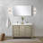 Lafarre 48 in W x 20 in D Double Bath Vanity and Faucet Set-113054787-113054788