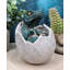 Figurine Grasha