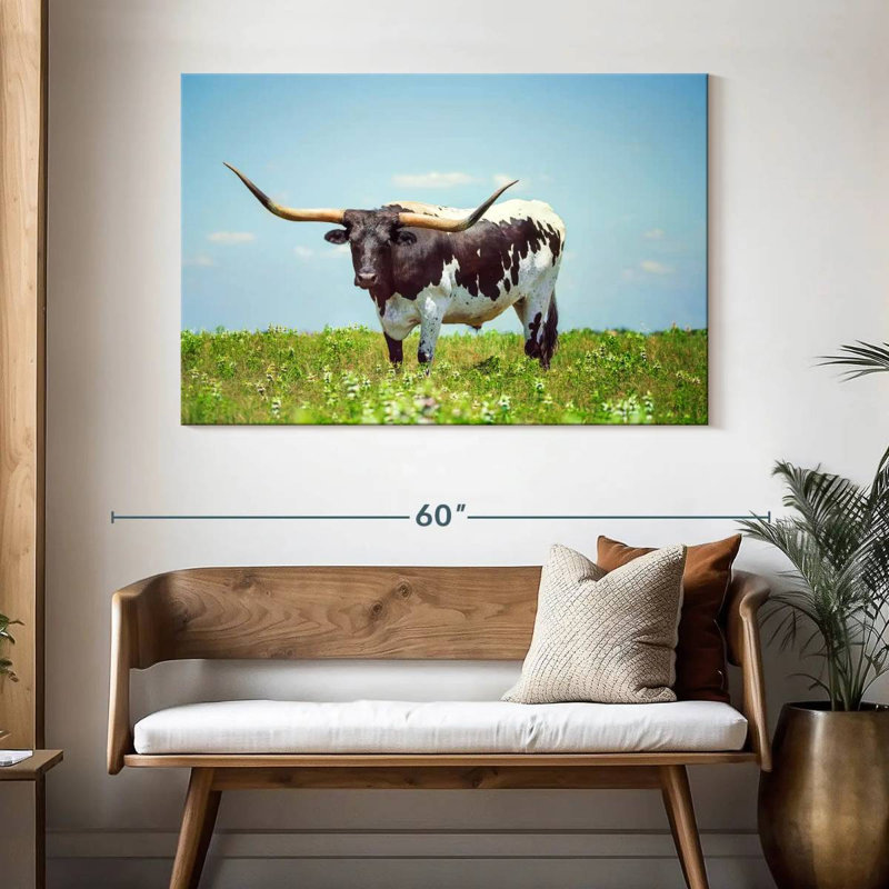 Brampt Longhorn Steer, 32" H x 48" W