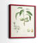 Impression encadrée botanique antique I-Premium - prête à être accrochée - aucun clou requis-1627489716-1627489723