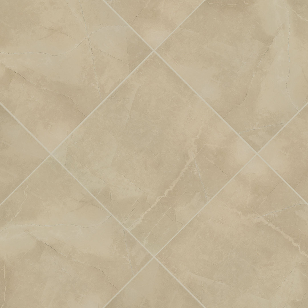 Sonoma 24 in. x 24 in. Matte Porcelain Stone Look Floor and Wall Tile Ackland 