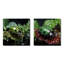 «Enchanted Ladybug Forest», ensemble de 2 insectes et insectes carrés-239337520-239337530
