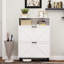 Armoire de rangement pour chaussures avec 2 tiroirs rabattables et design - Blanc antique autoportant pour vestibule, vestibule, couloir