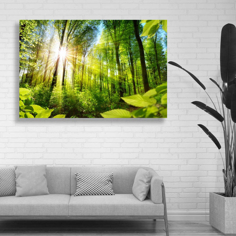Paysage naturel «Sunshine Through The Forest» sur, H 24 po x l 36 po