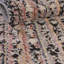 Tapis Gosnold Clemson Mori-231916558
