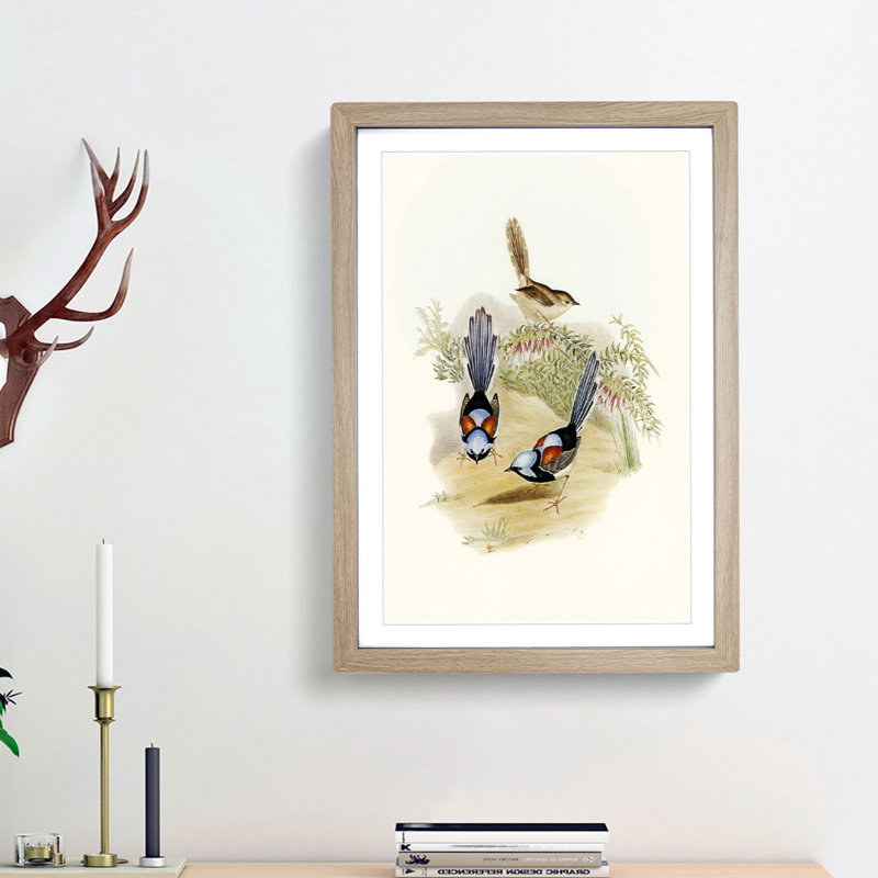 Lovely Wrens by Elizabeth Gould - Framed Print, 48cm H x 36cm W x 2cm D, Oak Framed