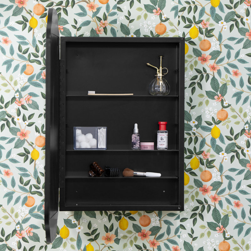 Eaton Medicine Cabinet, Recess and Surface Mount, Black