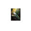 Paon blanc avec plume verte, art mural 24 po x 36 po