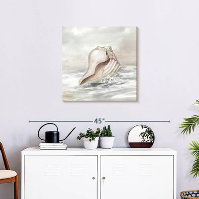 Aletra Shell Washed Ashore II