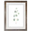 Douce branche d'eucalyptus II - Peinture encadrée sur papier-1547359568-1547359572