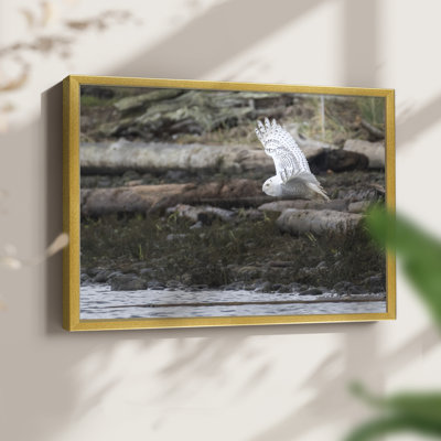 Solo Flight -Framed Print - Restickable
