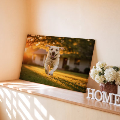 Reproduction d'art sur toile Happy Labrador