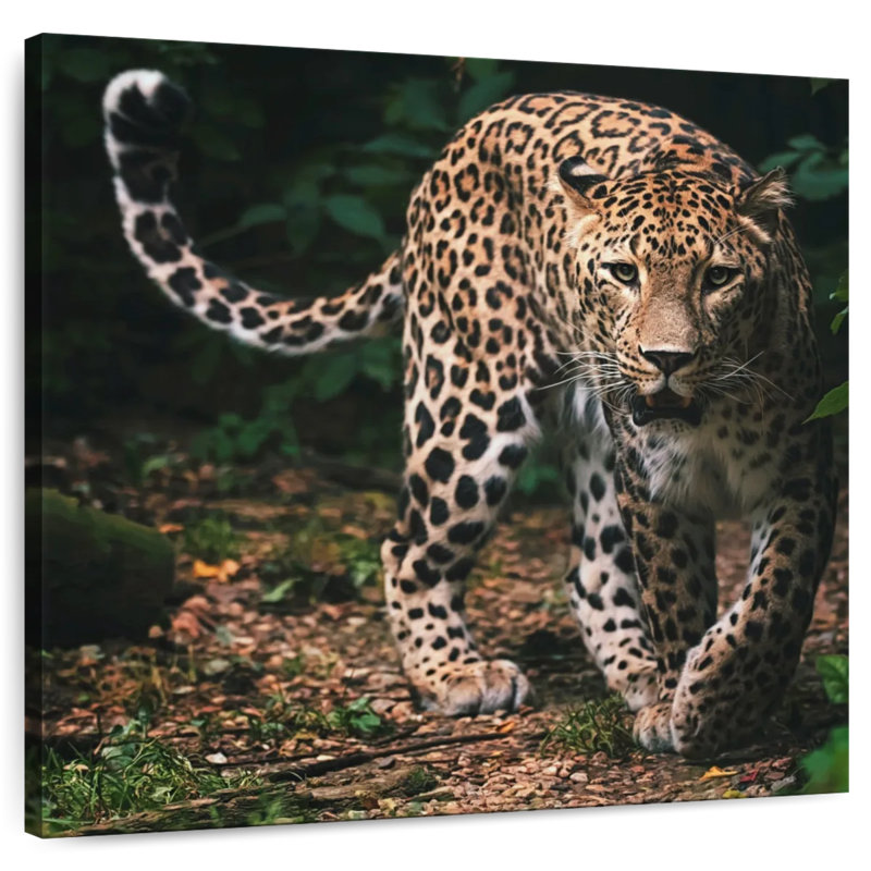 Brampt Wild Persian Leopard, 10" H x 10" W