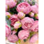 White Peony Faux Centerpiece In Glass Vase-1749398933