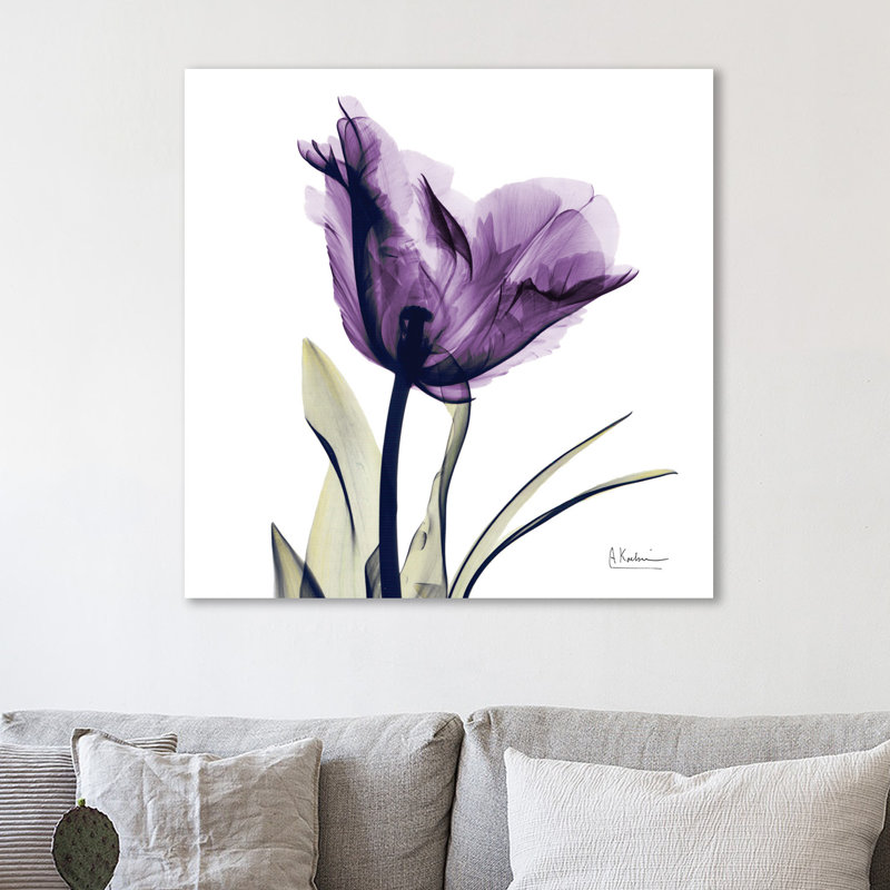 Tulip Dream - Wrapped Canvas Print, 46 cm H x 46 cm W