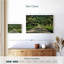 Arbres Harnek-111984340