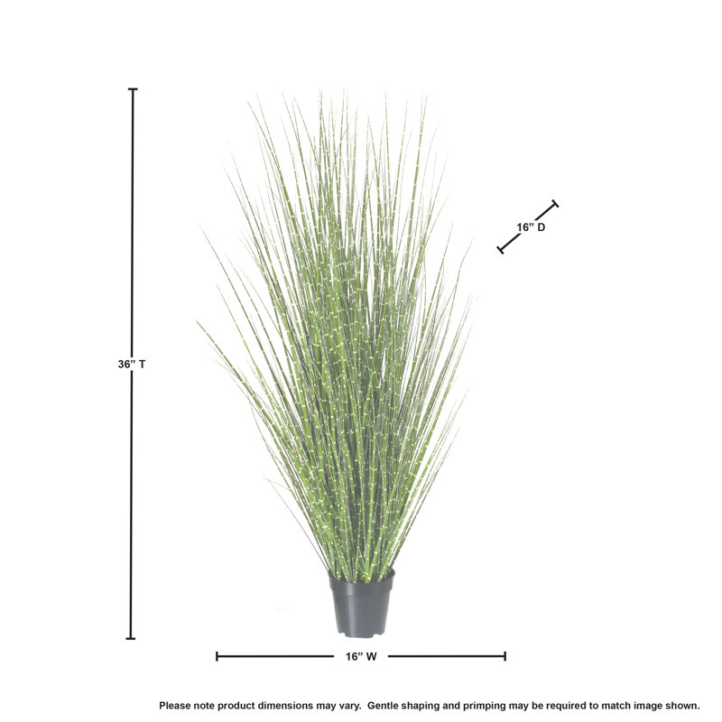 Artificial Onion Zebra Grass in Starter Pot, 45" H x 16" W x 16" D