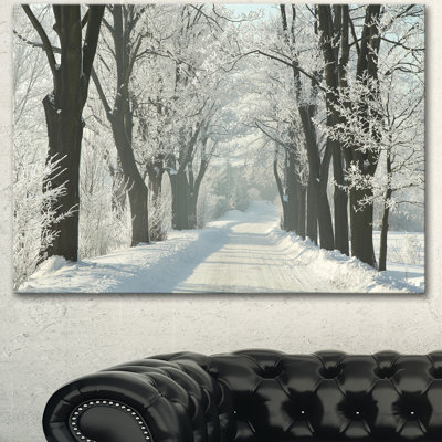 «Country Road Entre Foggy Trees», photographie