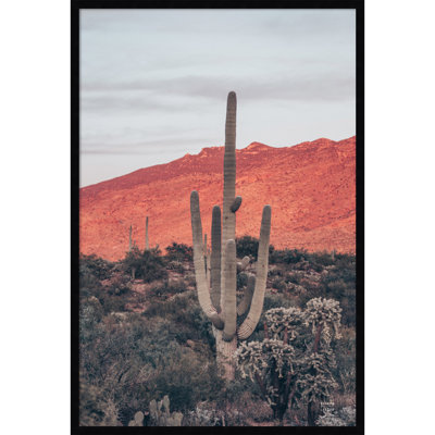 Sunsets And Saguaros by Nathan Larson