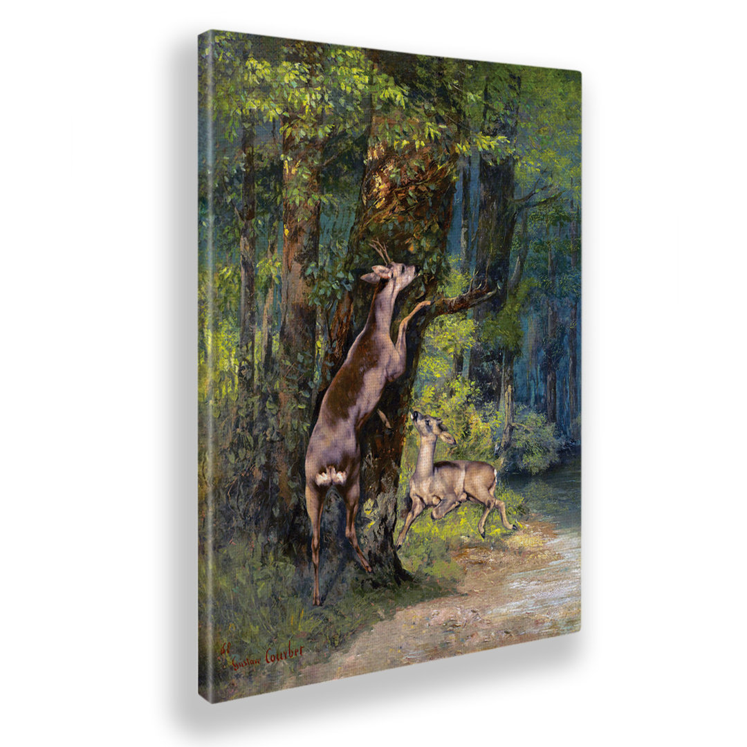 Leinwandbild Deer in the Forest von Gustave Courbet