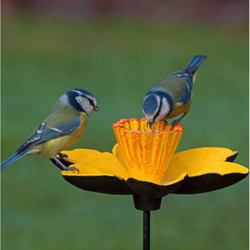 Ewalt Metal Pole Decorative Bird Feeder