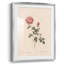 Imprimé floral rétro CXL III - impression encadrée-300144869