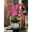 Phalaenopsis Orchids Centerpiece in Vase