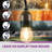 Burroughs  48' Outdoor 15 - Bulb Standard String Light-1336749572