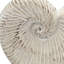 Pot de fleurs texturé beige et sable à coquille de ciment pour plantes grasses créant un environnement de maison paisible idéal pour apporter de la sérénité à votre bureau