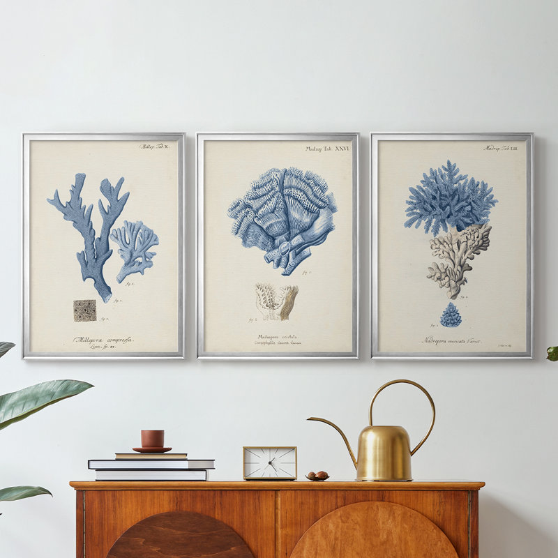 Corail antique en bleu marine - Toile tendue avec châssis sur mesure - 3 pièces, H 21 po x l 30 po, Argent argent
