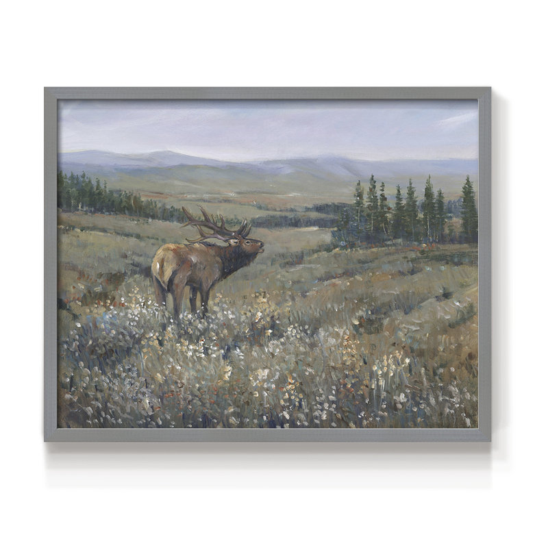 Faune de l'Ouest I - reproduction encadrée - réaménageable, H 16 po x l 20 po, Gris
