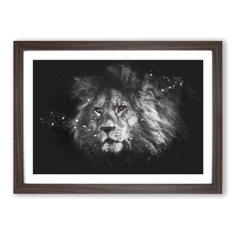Lion With Piercing Eyes Paint Splash - Picture Frame Graphic Art, Walnut Framed, 62cm H x 87cm W x 2cm D