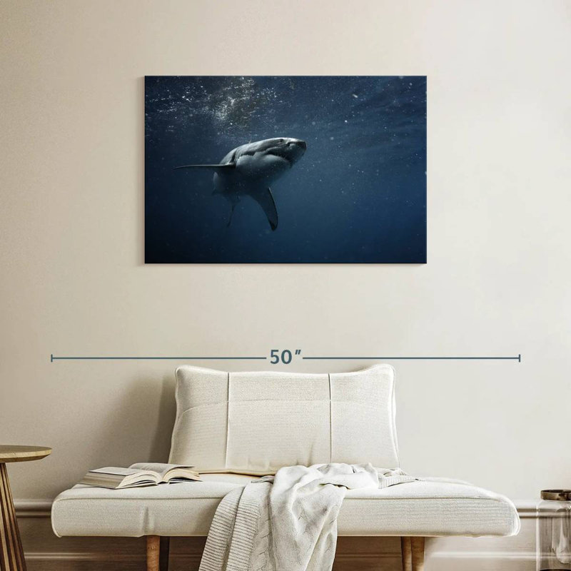 Brampt Great White Shark, 24" H x 36" W