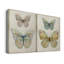 Papillon botanique I - Toile tendue avec châssis de qualité supérieure - Prêt à être accroché