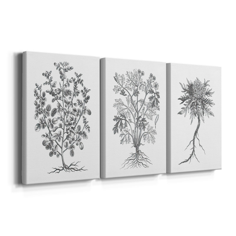 B&W Plant Spechantillon I - Toile tendue sur mesure avec châssis - 3 pièces, H 48 po x l 96 po