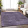 Premium Machine Washable Prisco Plum Rug