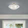 Aneudi Glass Semi Flush Mount