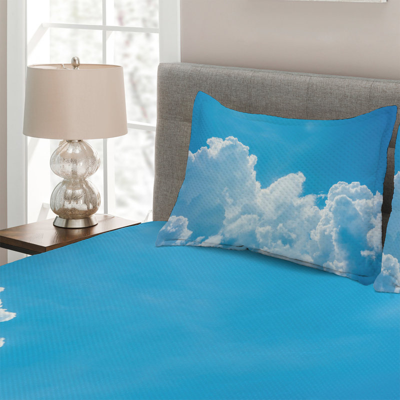Modern & Contemporary Polyester Coverlet