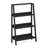 Casiana Ladder Bookcase-95356668-95356666