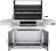 Napoleon 67.5" Professional Charcoal Grill with Smoker