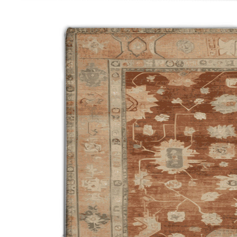 Tapis intérieur et extérieur brun Overdyed, Rectangulaire 2 pi x 3 pi